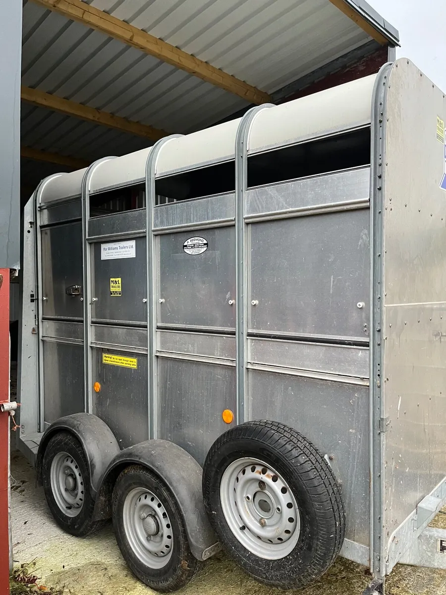 Cattle Box - Image 3