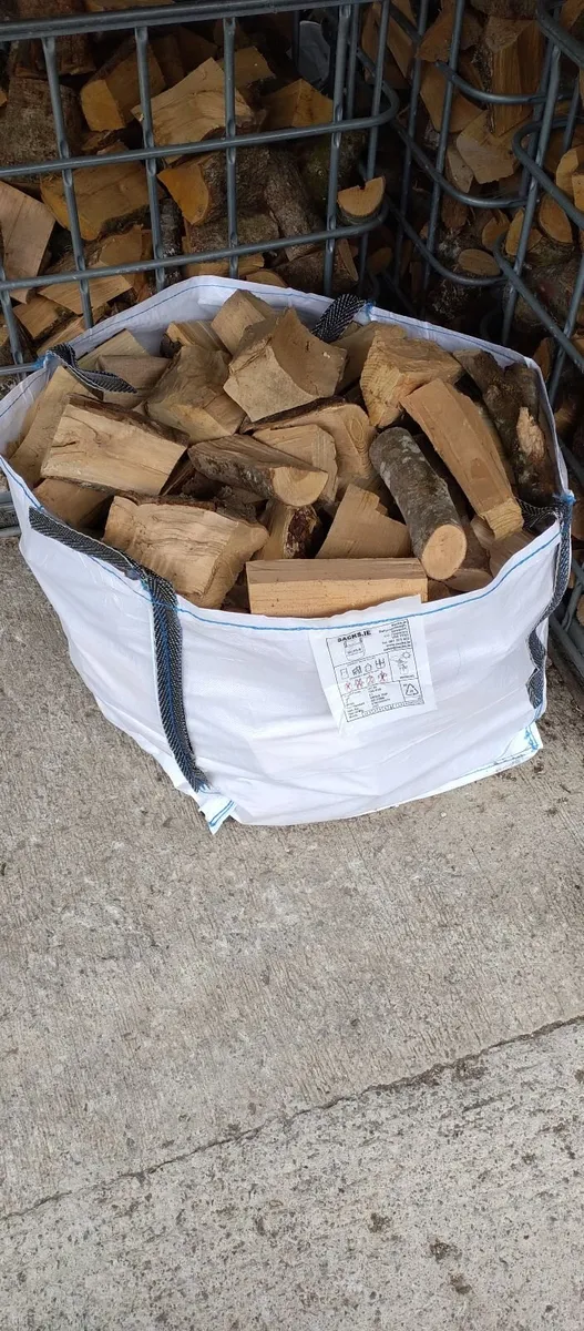 Beech Firewood - Image 3