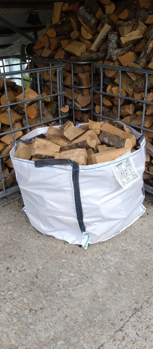 Beech Firewood - Image 1