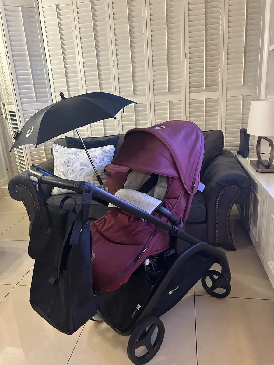 Bugaboo - Image 3