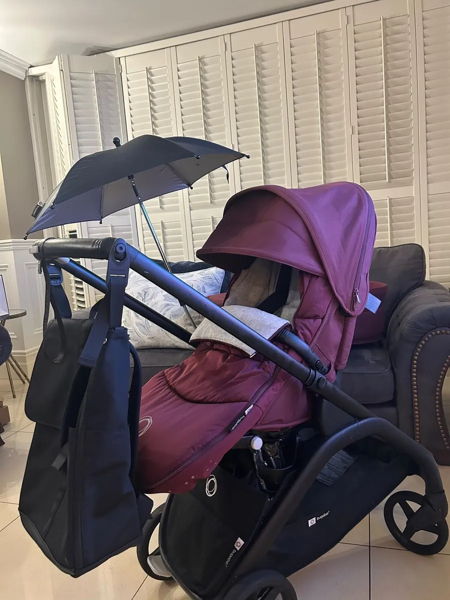 Bugaboo - Image 4