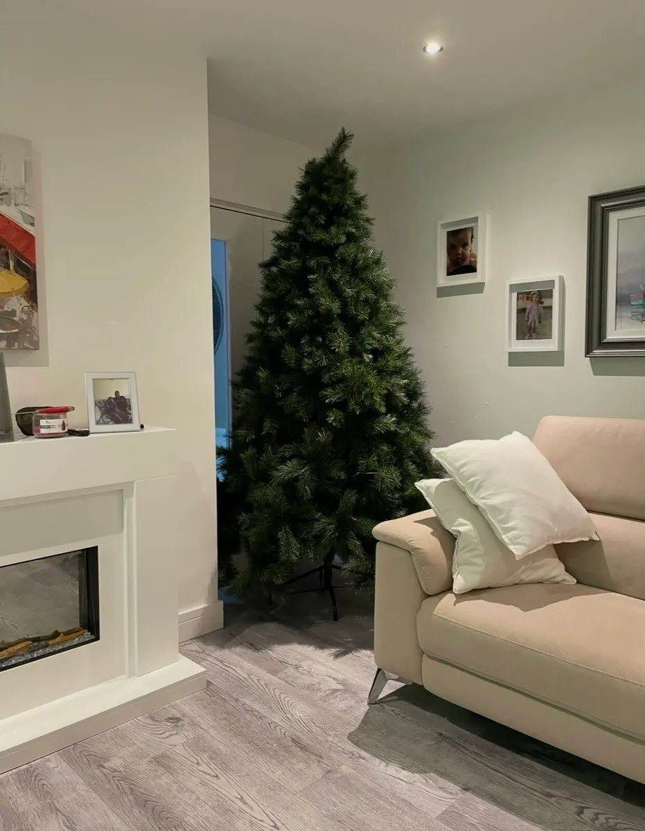 8ft Nebraska Christmas Tree Excellent Condition - Image 2