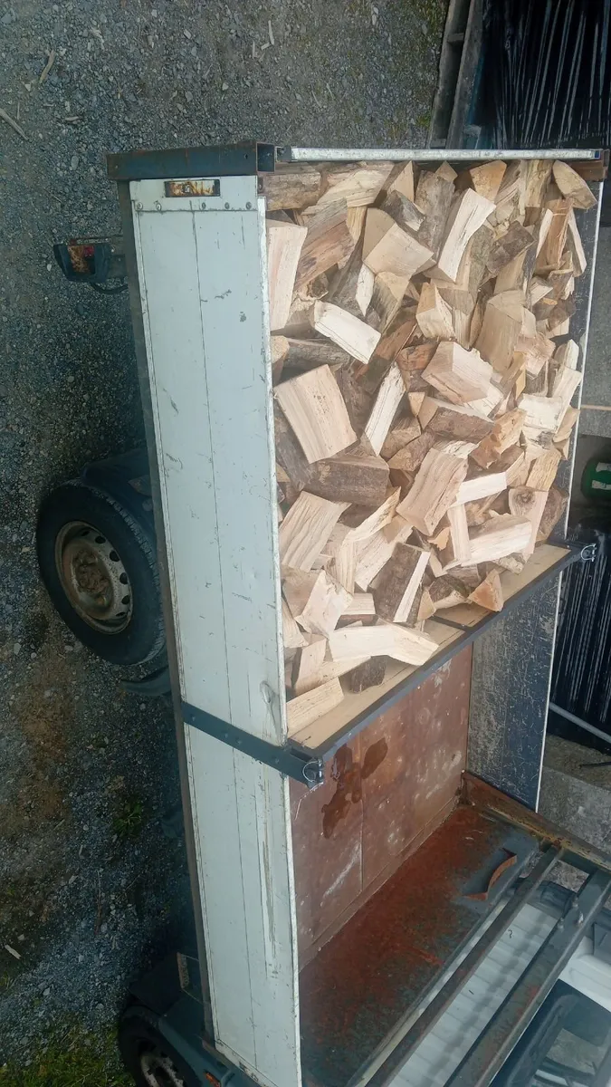 Hardwood and Softwood 🔥🔥 - Image 3