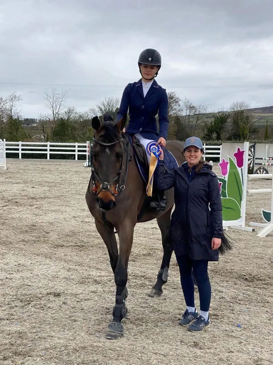 Irish Sport Horse for Sale - Image 2