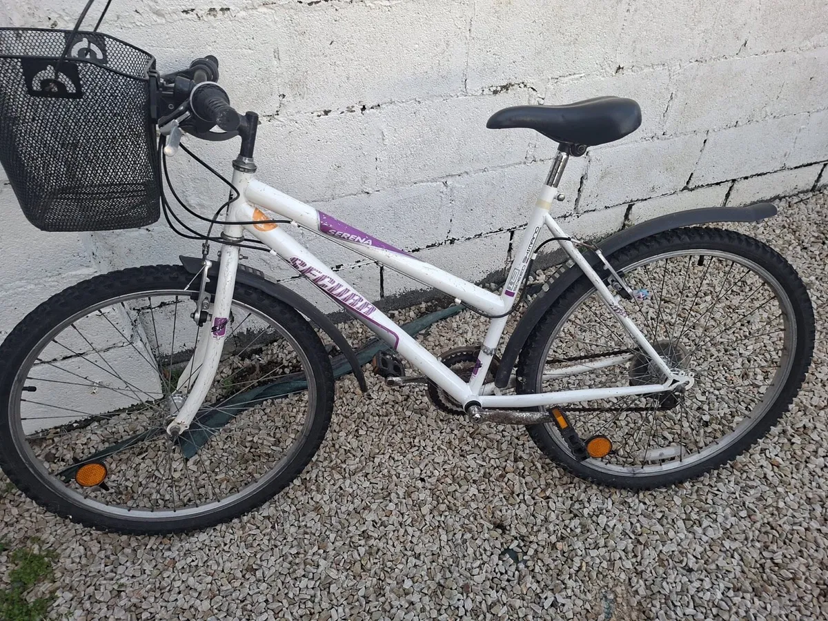 Girls Mountain Bike - Image 1