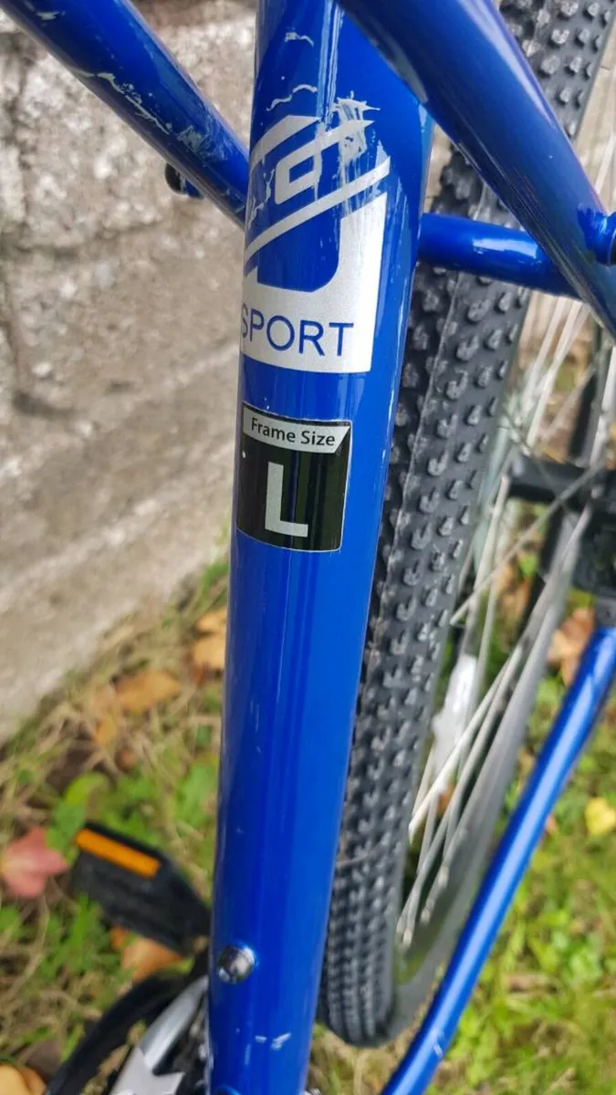 Bike - Image 2