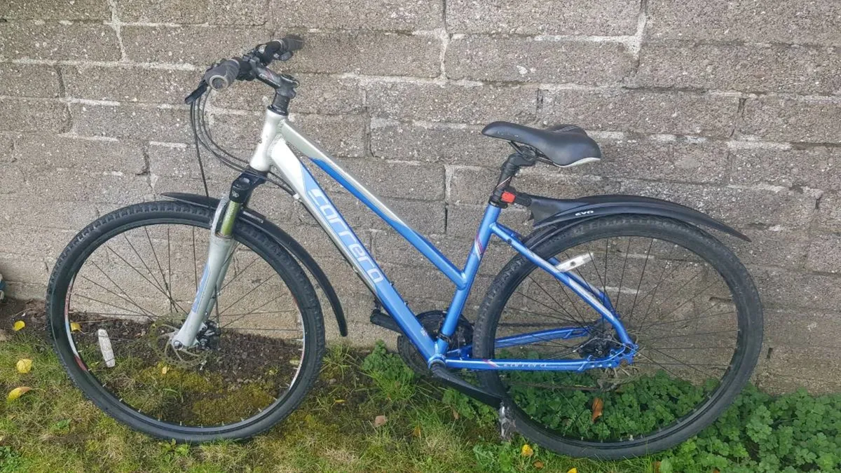 Bike - Image 1