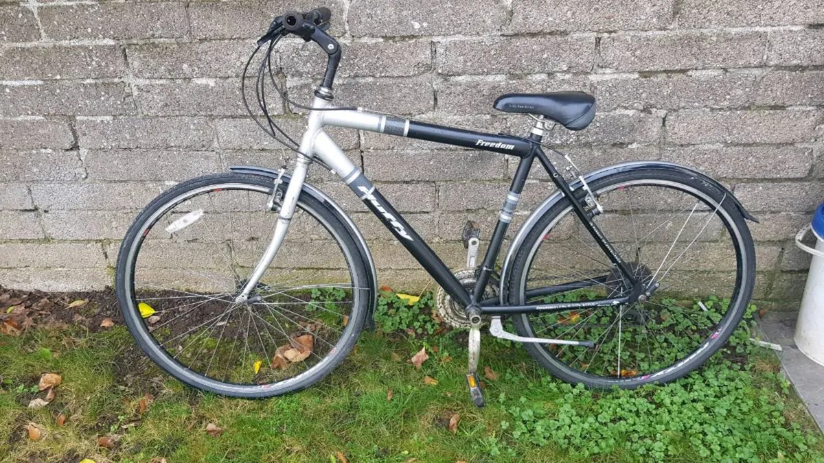 Bike - Image 1