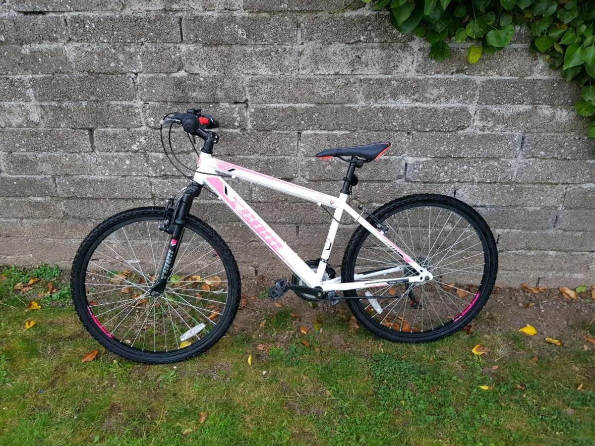 Bike - Image 2
