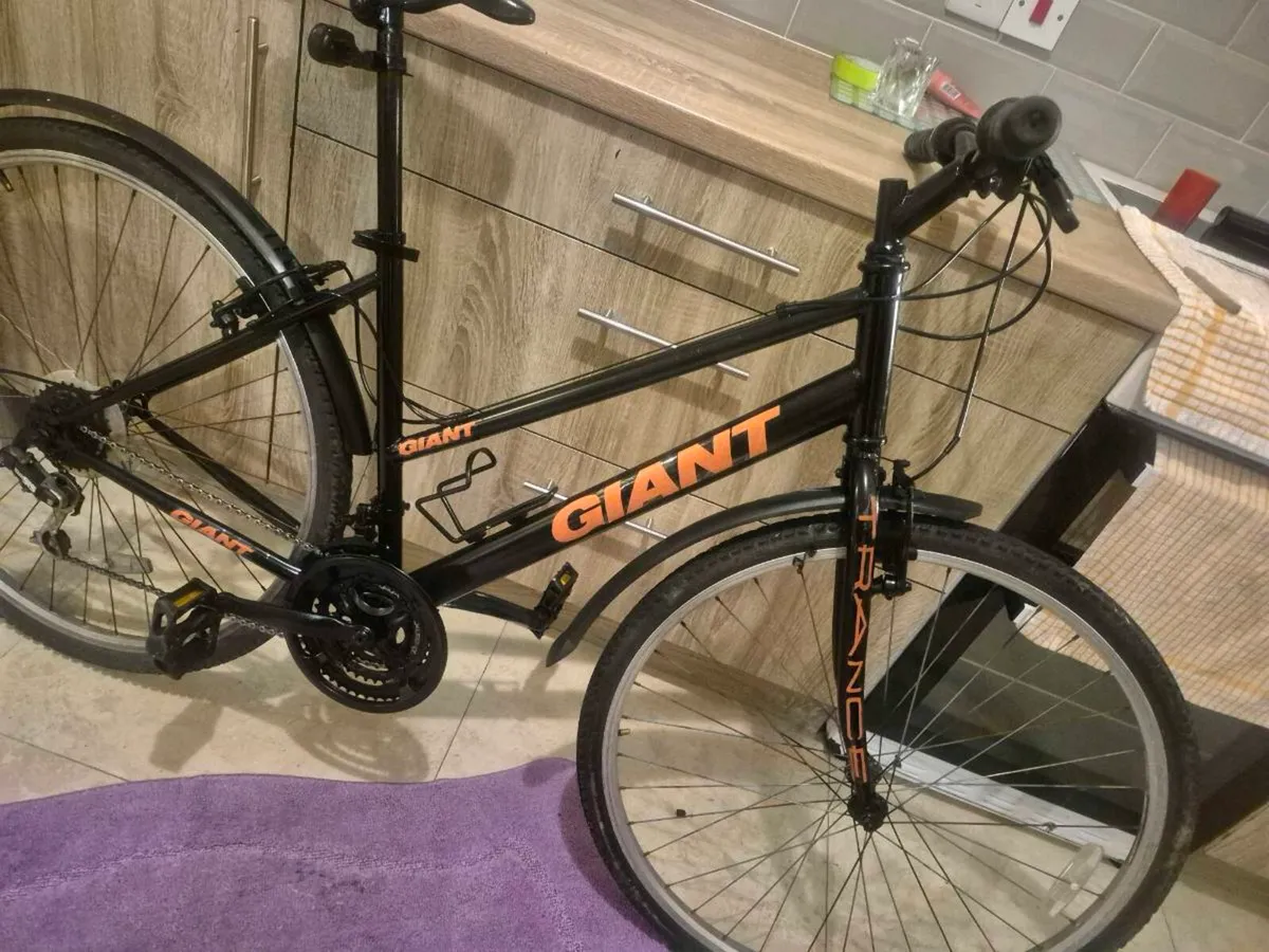 LADIES GIANT EXPRESSION BIKE 
18” FRAME  BRAKES AN - Image 3