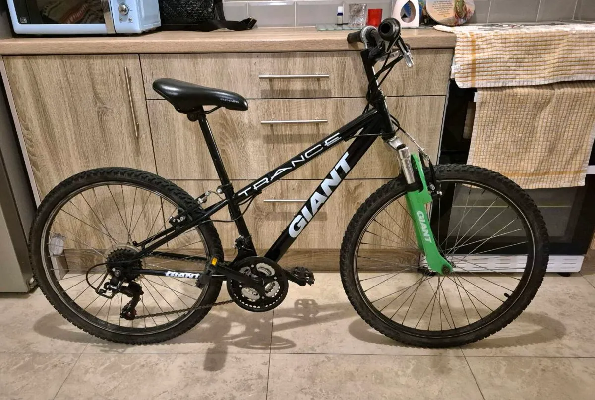 24” GIANT BIKE TO SUIT AGE 9 - 12 EVERYTHING WORKS - Image 3