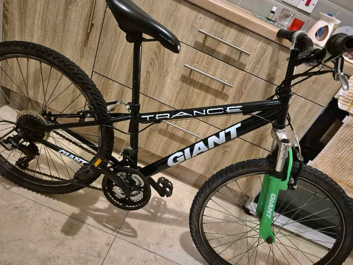 24” GIANT BIKE TO SUIT AGE 9 - 12 EVERYTHING WORKS - Image 4