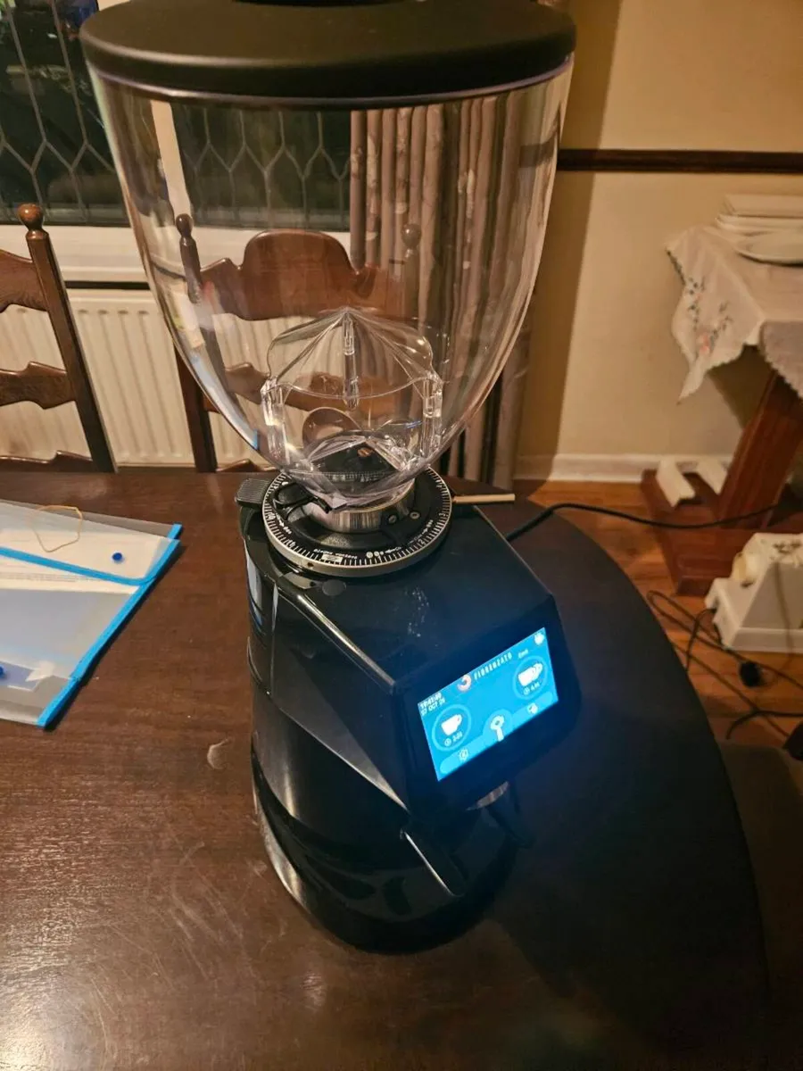 Fiorenzato Coffee Grinder - Image 2