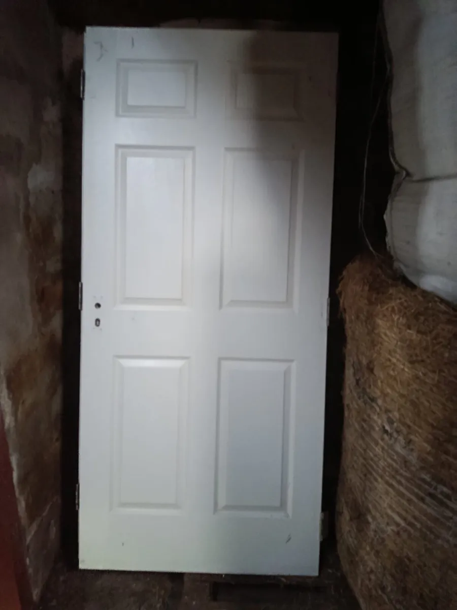 Internal doors - Image 1