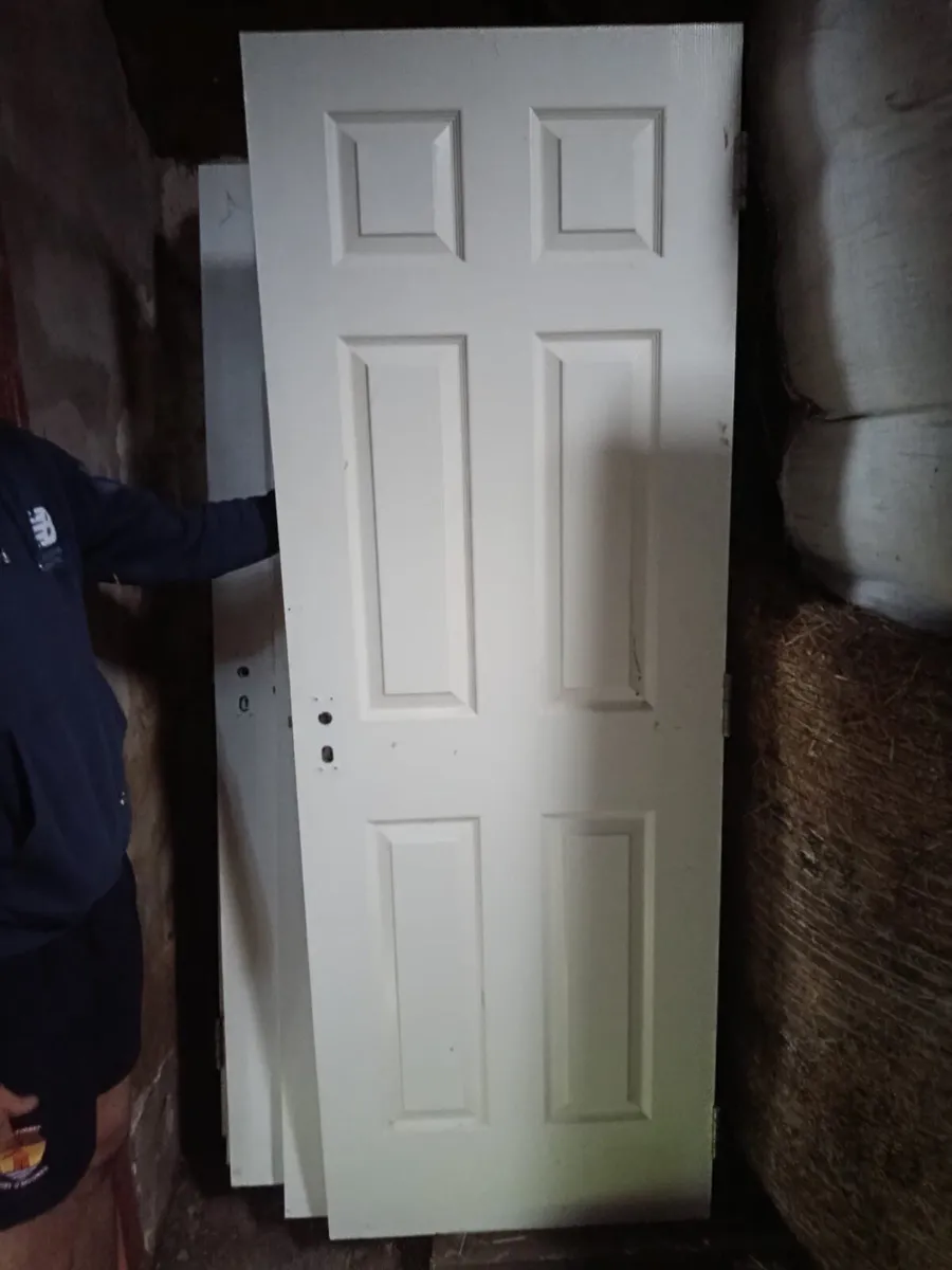 Internal doors - Image 2