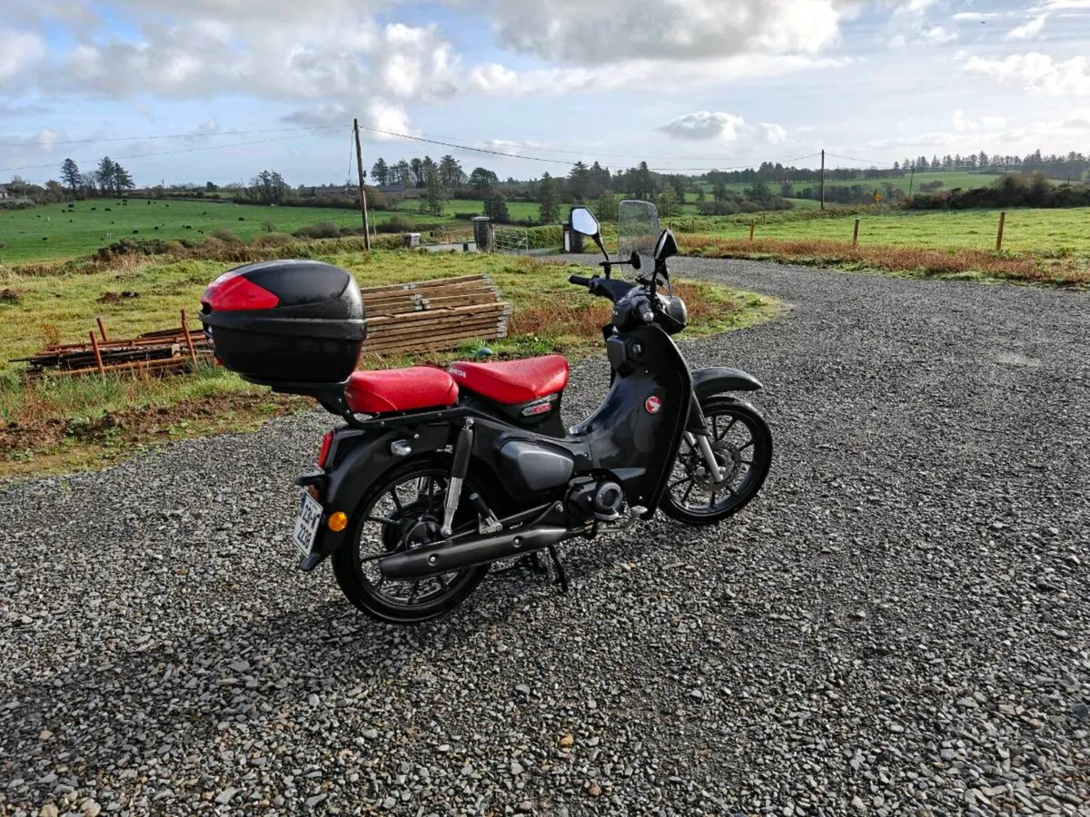 Honda Supercub 125cc - Image 2