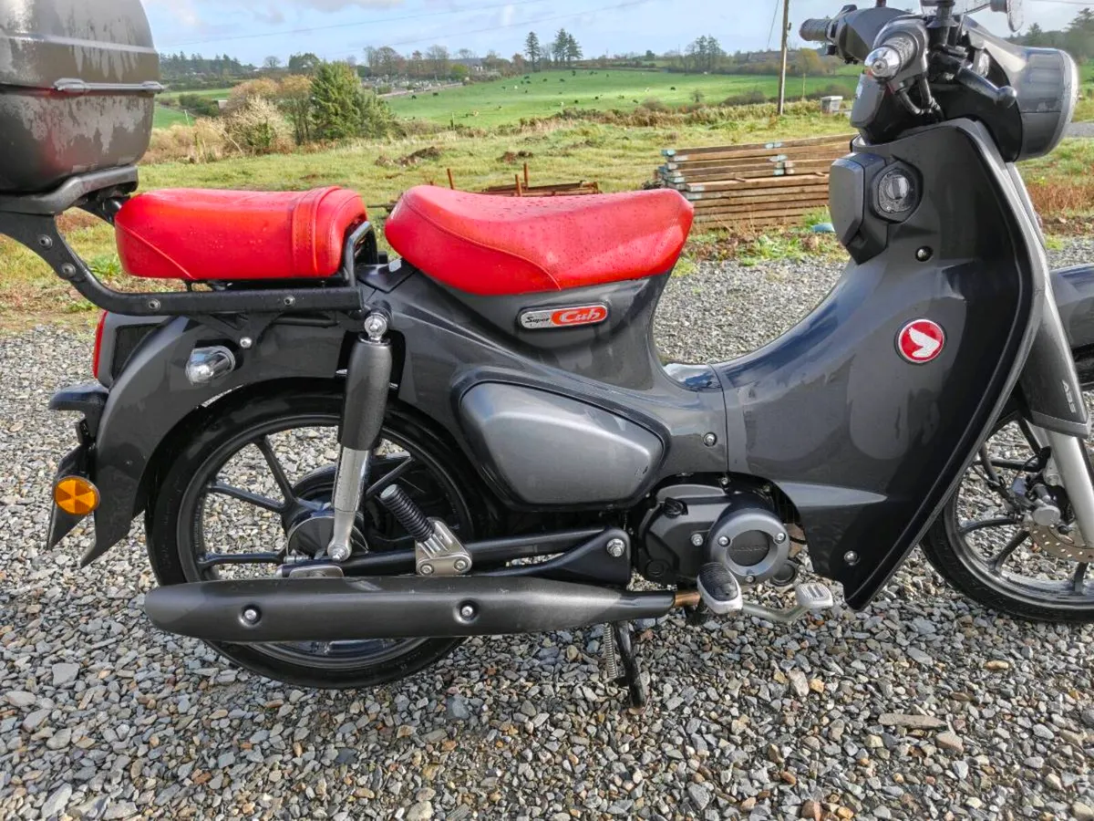 Honda Supercub 125cc - Image 4