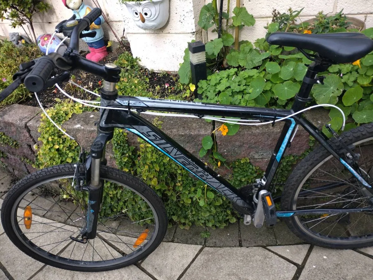 Bike - Image 1