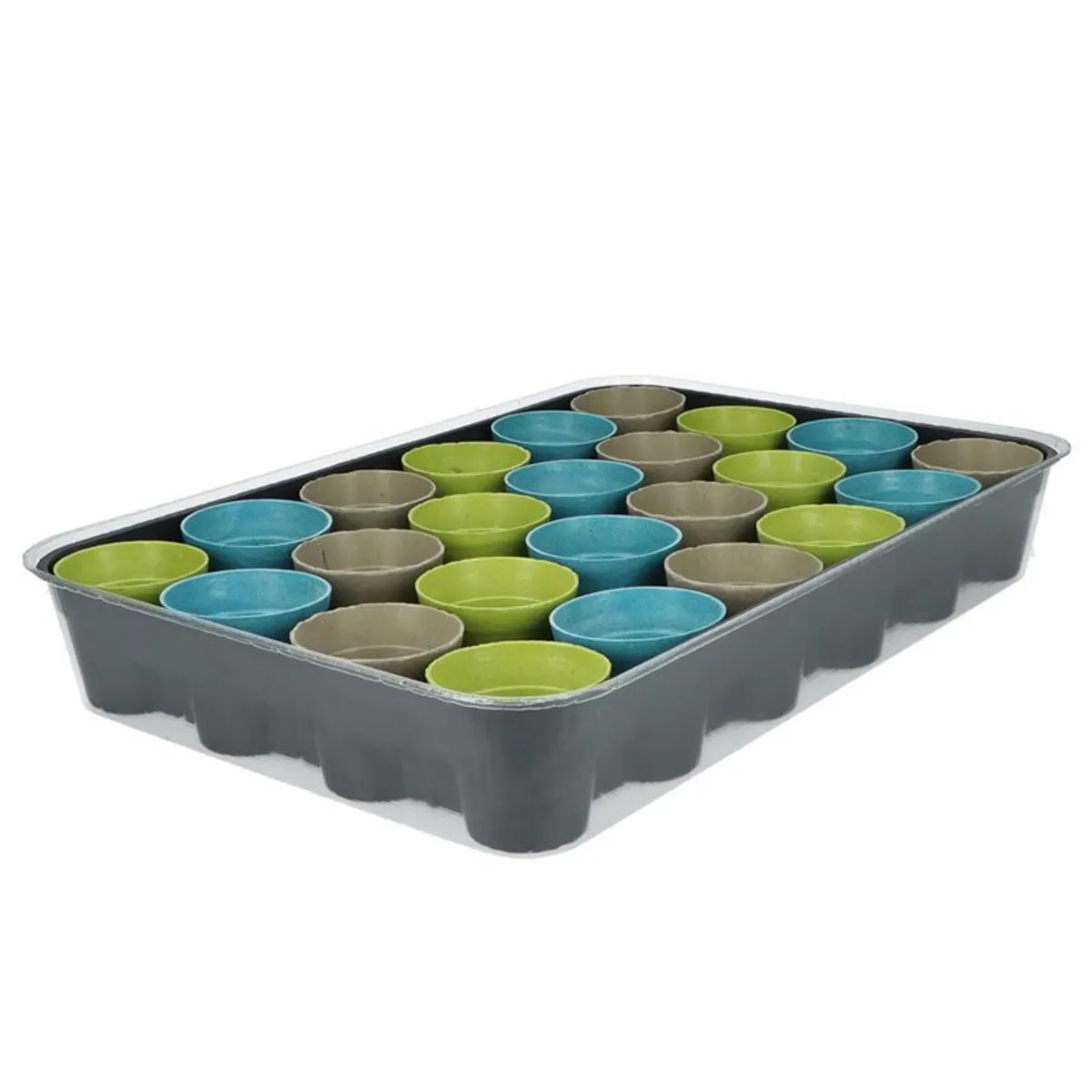 Buzzy Advent Calendar Herb and Vegetable seeds - Image 2
