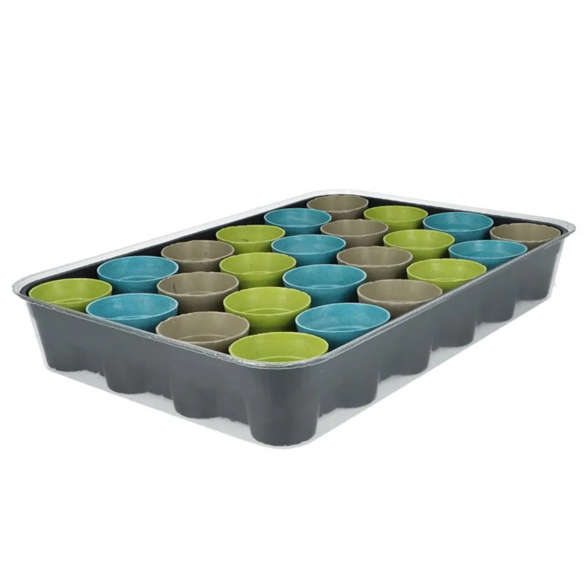 Buzzy Advent Calendar Flower Seeds - Image 3