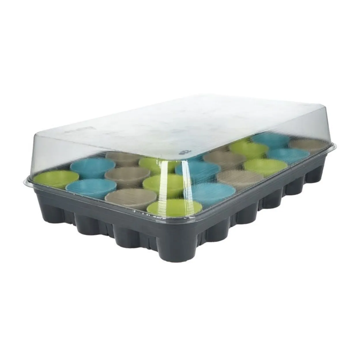 Buzzy Advent Calendar Flower Seeds - Image 4
