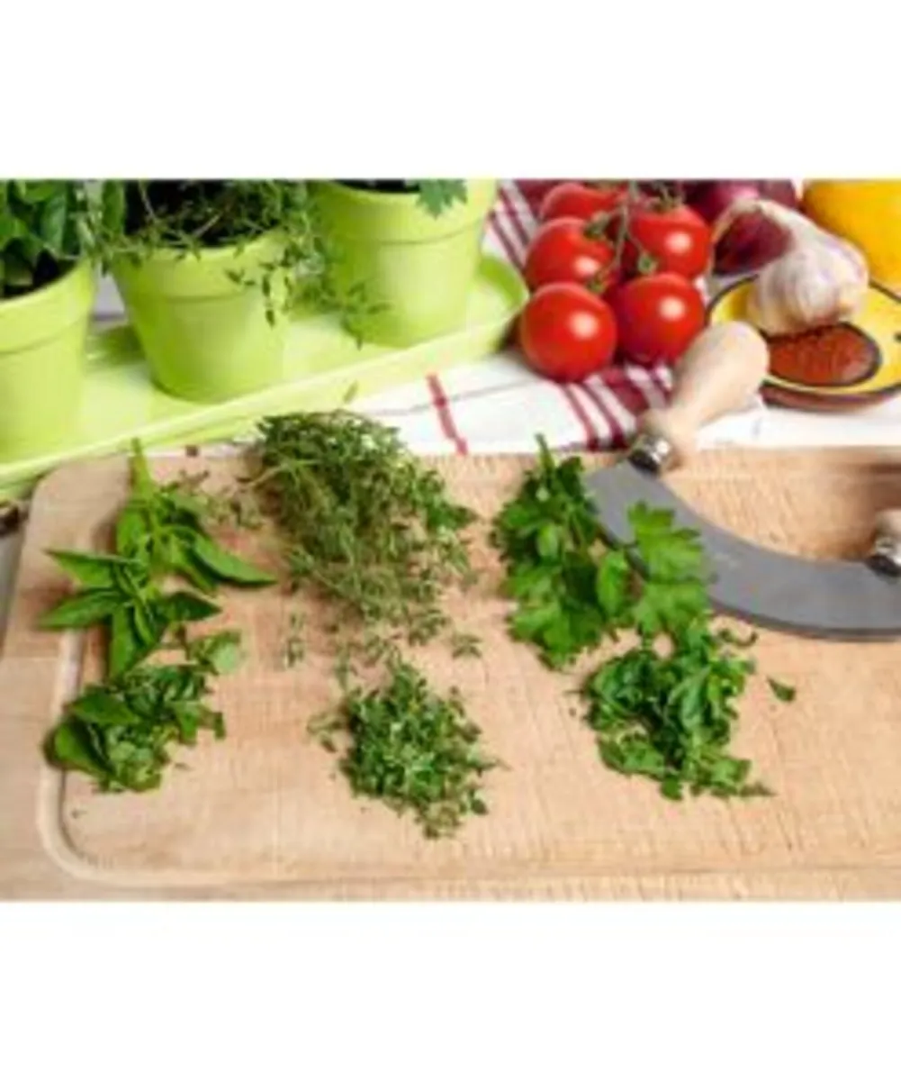 Buzzy Organic Kitchen Herb Gift Set FREE SHIPPING - Image 4