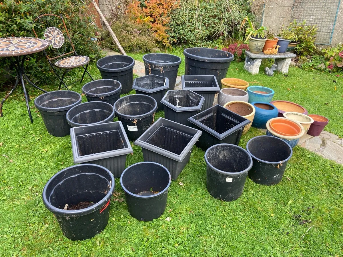 Garden. Pots - Image 1