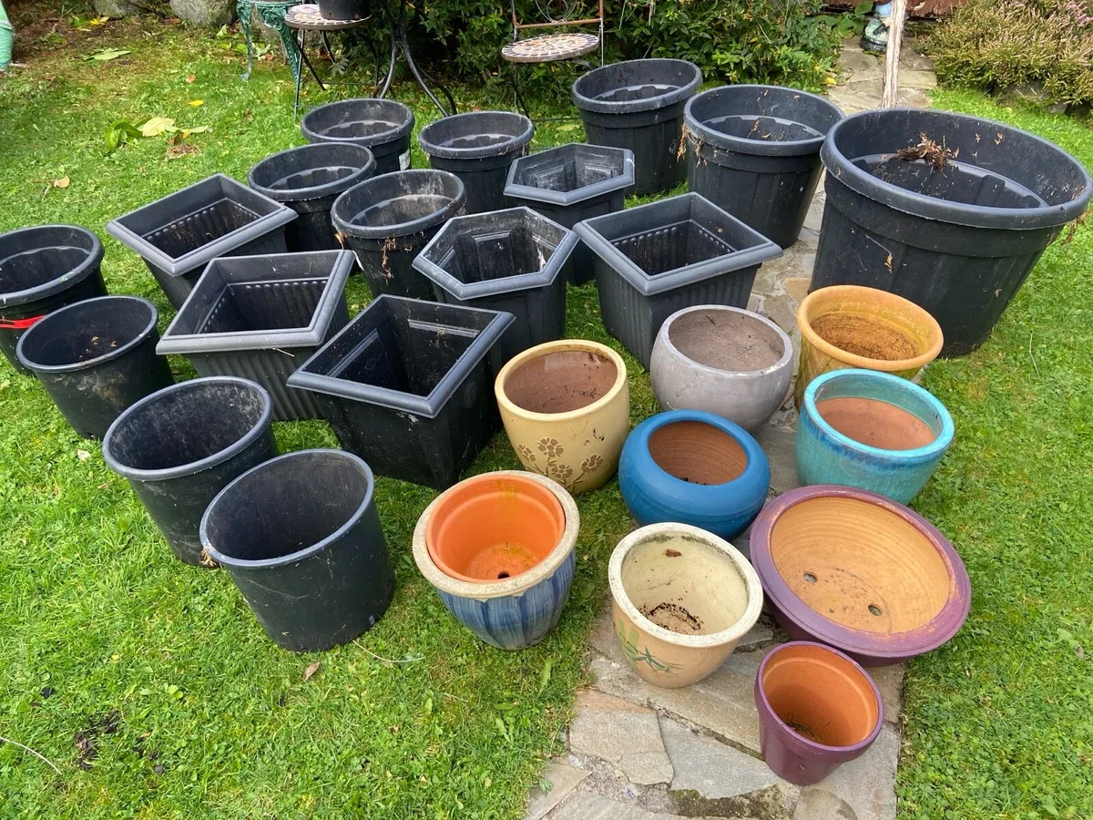 Garden. Pots - Image 2