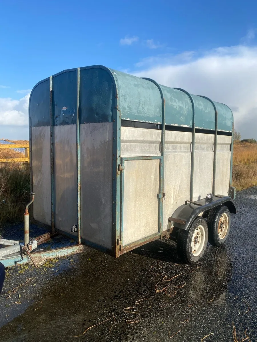 Crooks Cattle & sheep trailer - Image 1