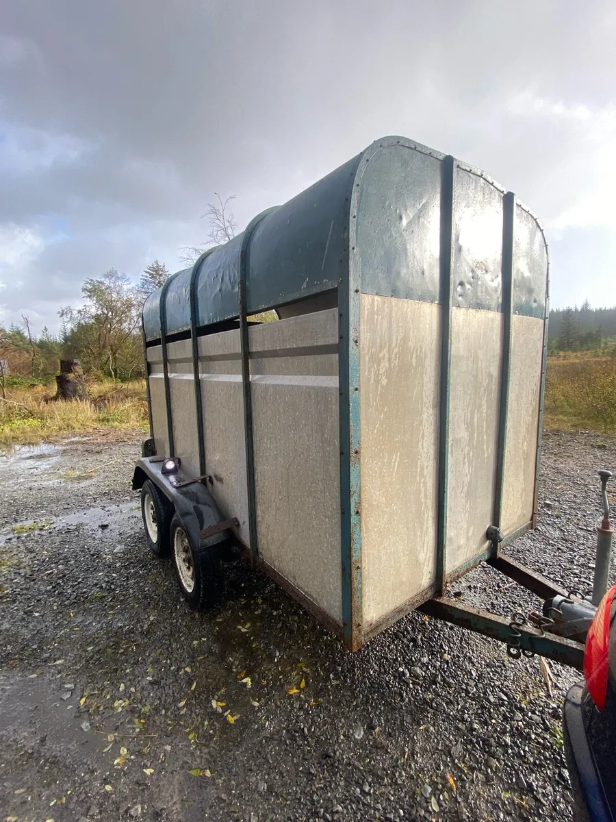 Crooks Cattle & sheep trailer - Image 2