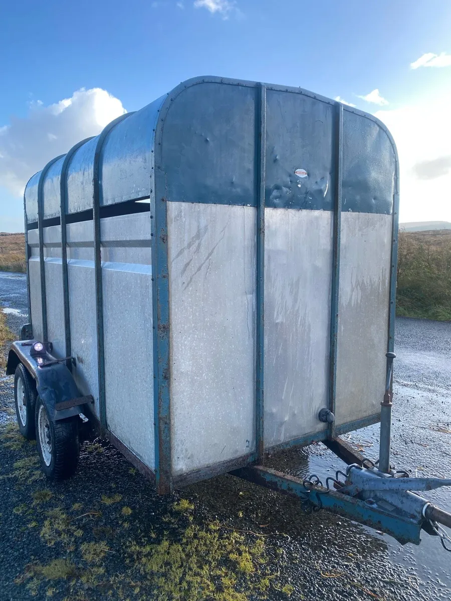 Crooks Cattle & sheep trailer - Image 3