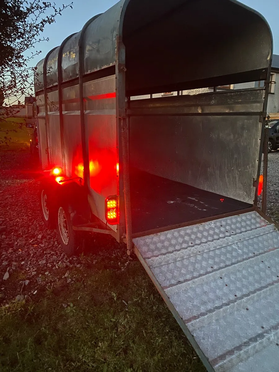 Crooks Cattle & sheep trailer - Image 4