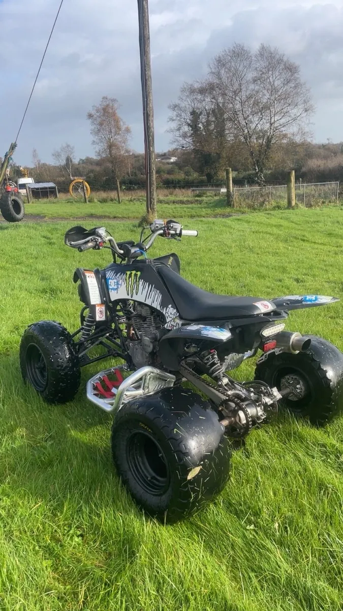 Raptor 250cc - Image 3