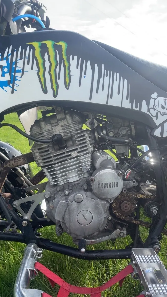 Raptor 250cc - Image 2