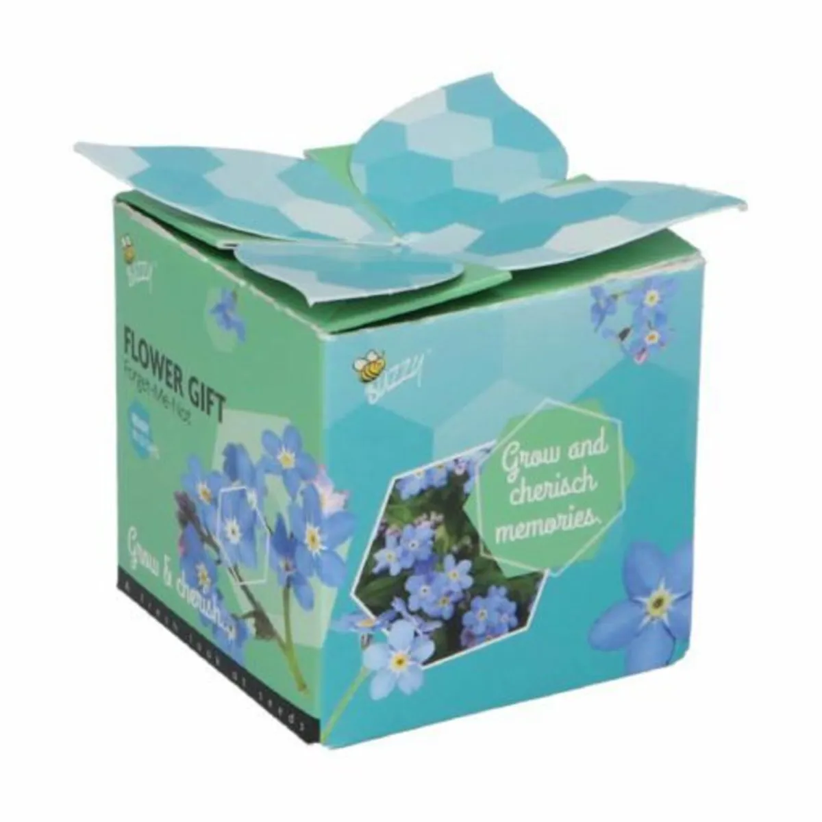 Buzzy Forget-Me-Not flower gift - pack of 4 - Image 2