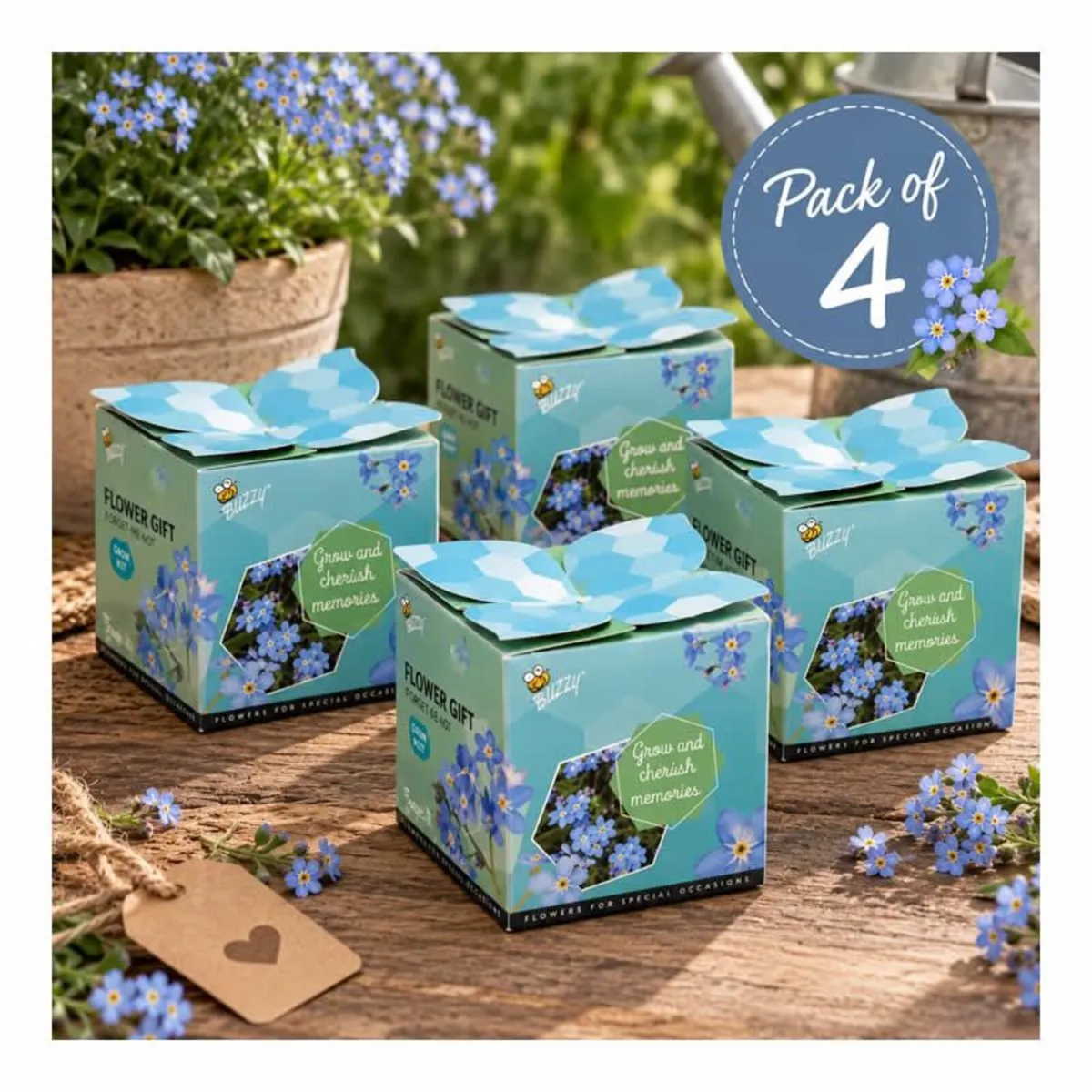 Buzzy Forget-Me-Not flower gift - pack of 4 - Image 1