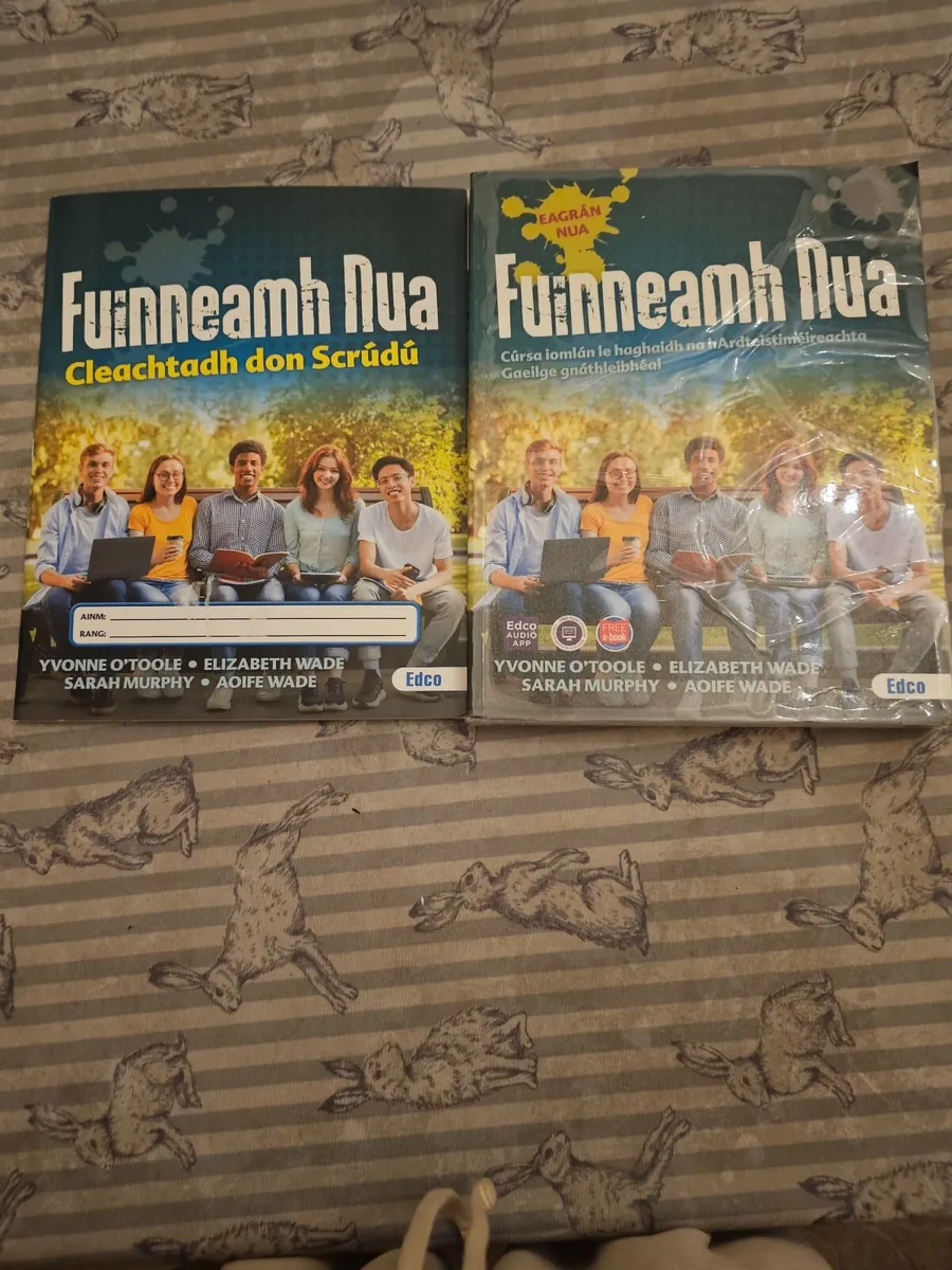 Gaeilge Leaving Cert Books - Image 2
