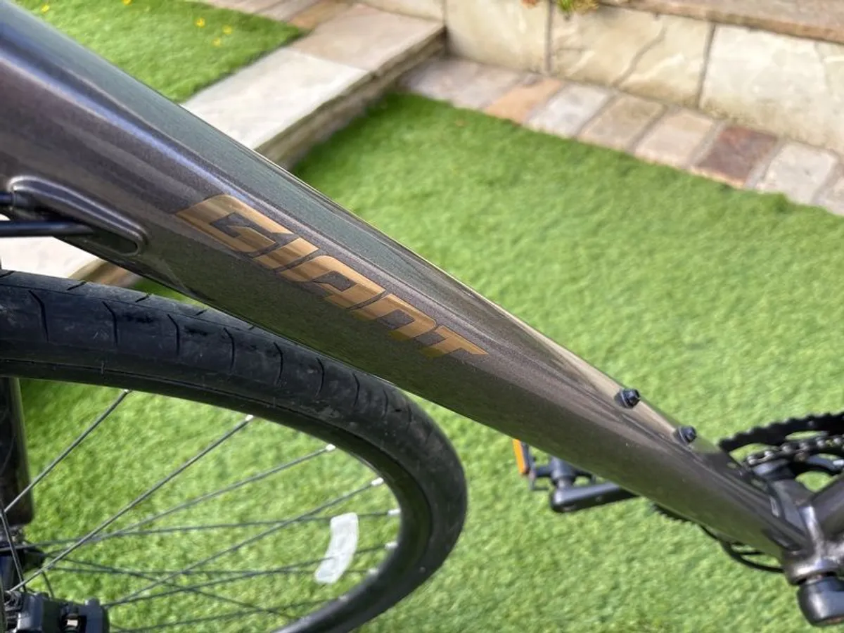 Giant Fast Road - Image 2