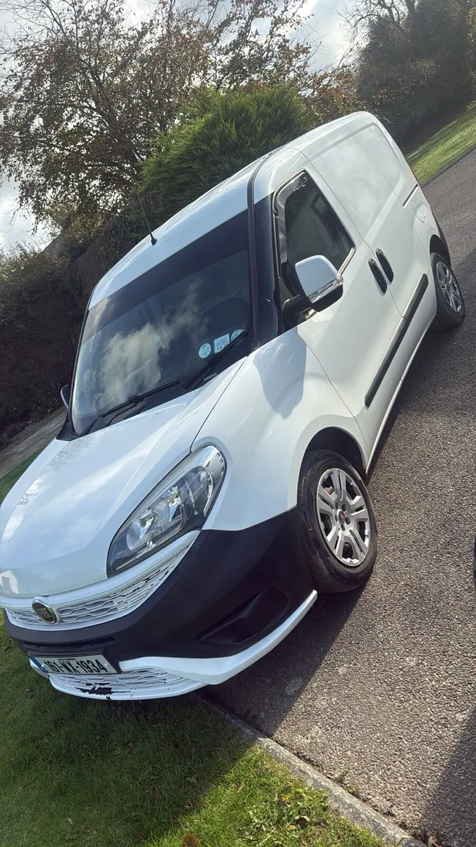 2016 Fiat Doblo - Image 1