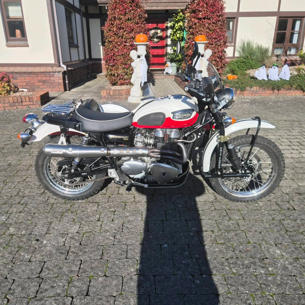 Triumph scrambler 900 side car combination - Image 2