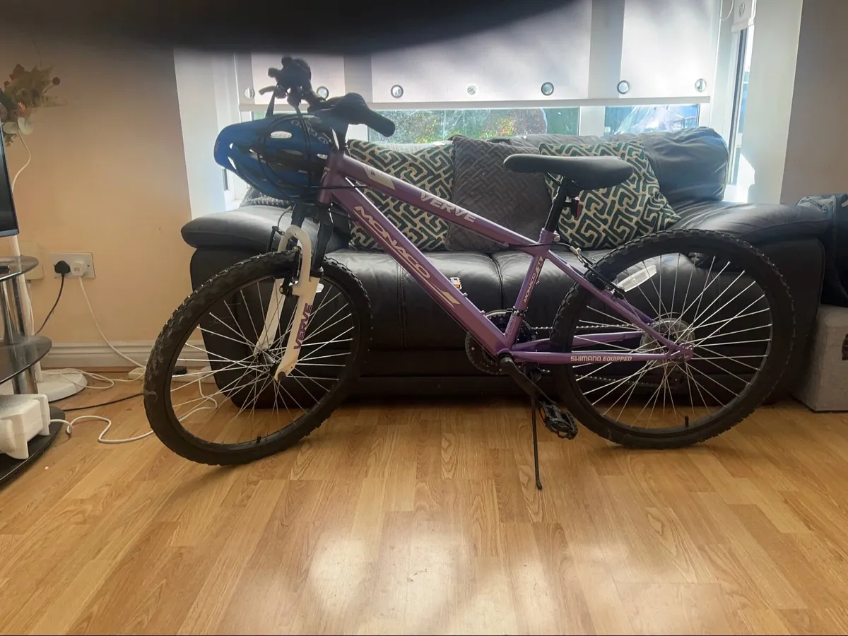 Bicycle - Image 3