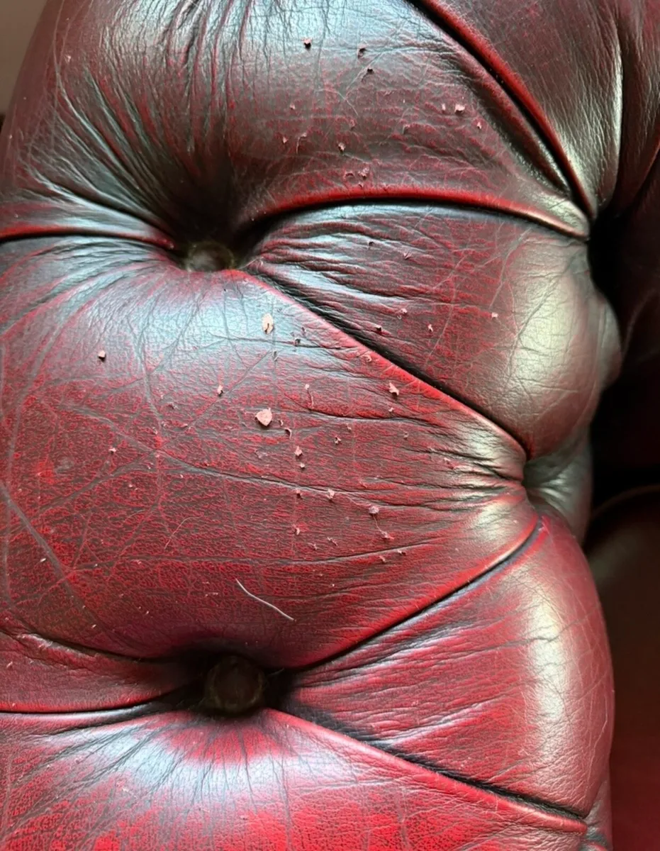 Classic Oxblood Leather Chesterfield 2-Seater Sofa - Image 4
