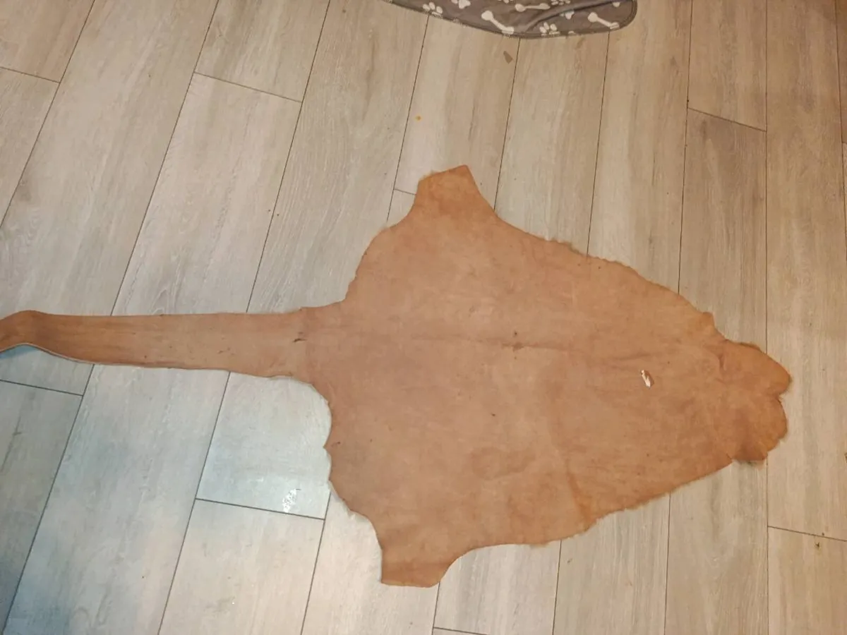 Kangaroo hide 150cm - Image 3