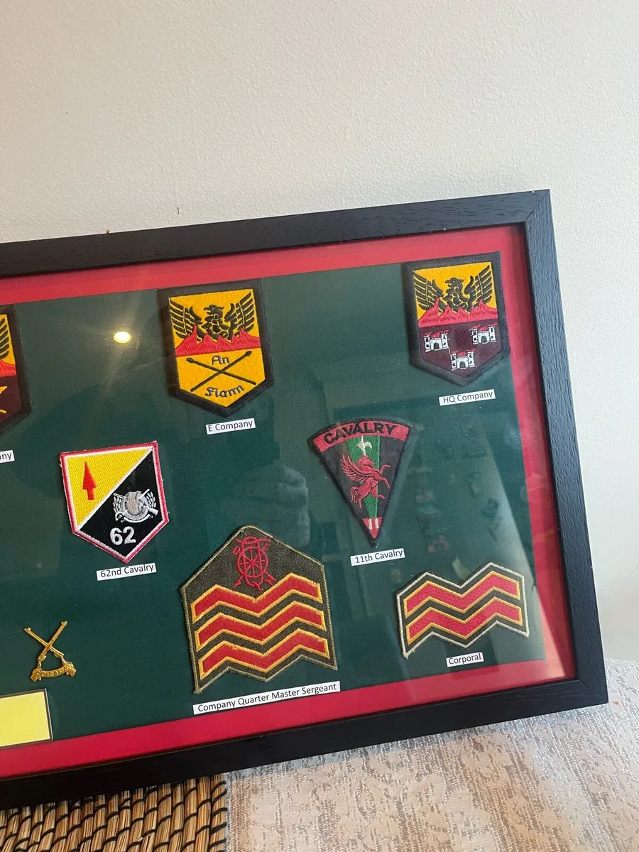 Irish army Defence Forces badges and patches - Image 4