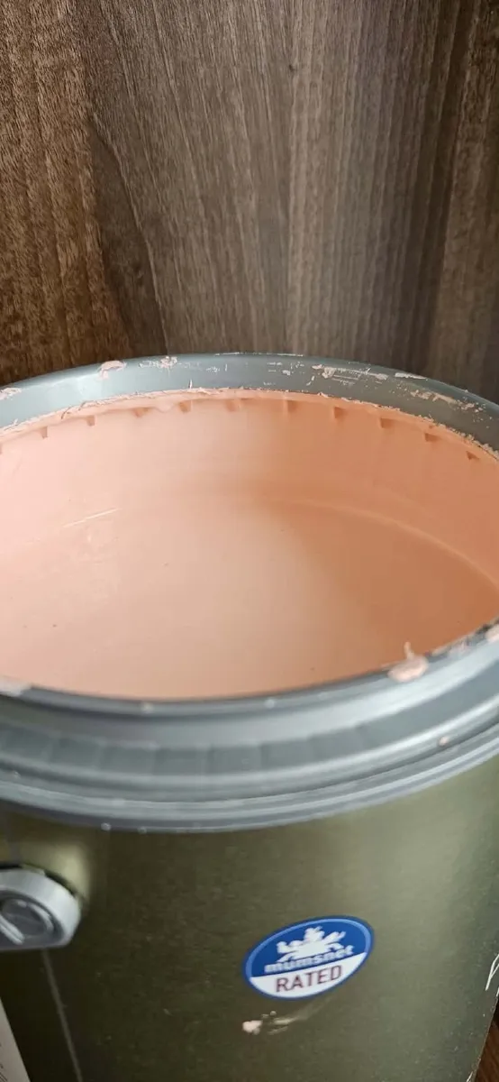 paint Dusty pink - Image 2