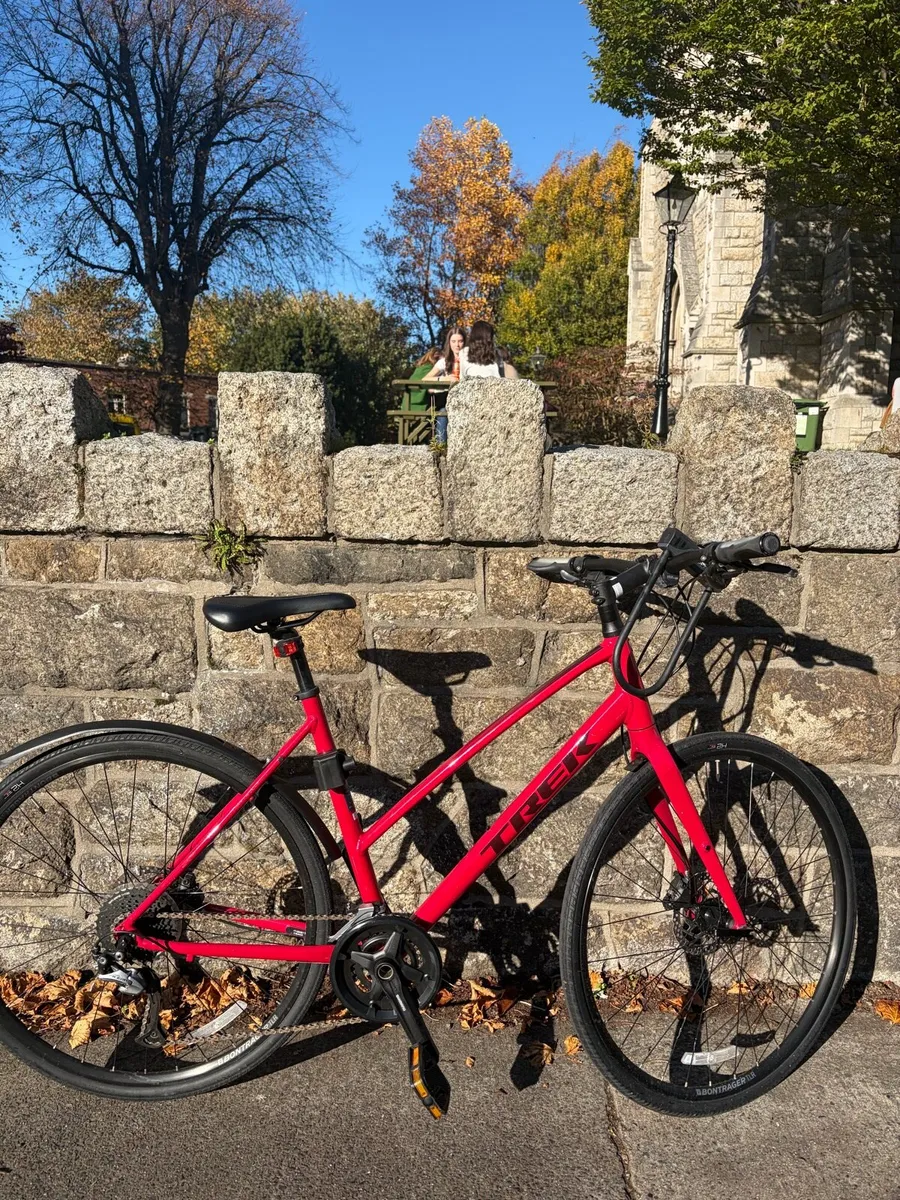Trek Bike - Image 1