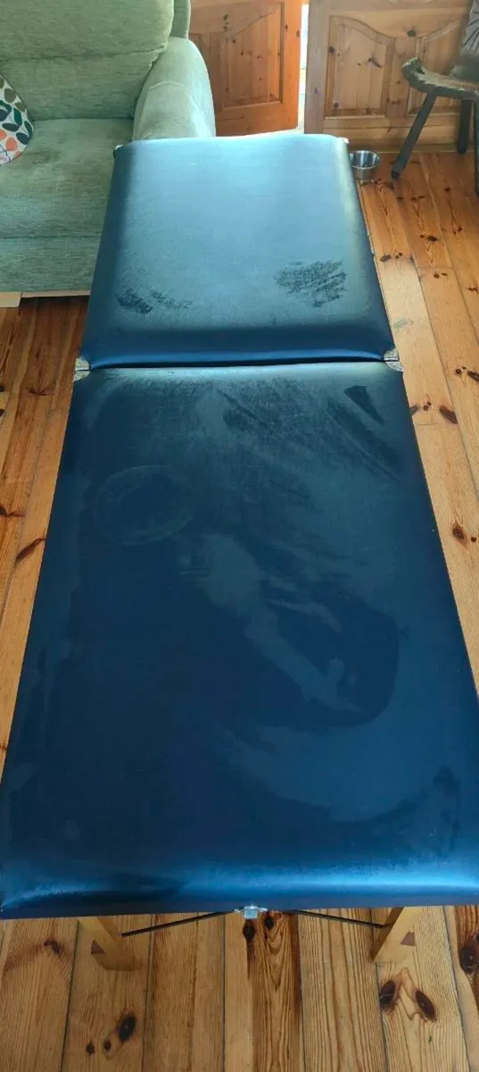 Portable Massage table - Image 2