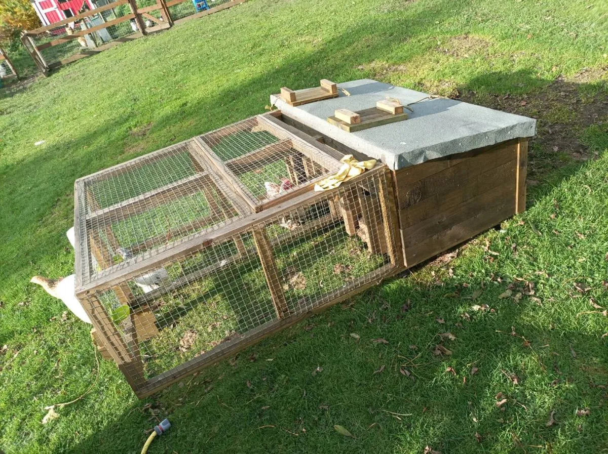 Chicken coops - Image 2
