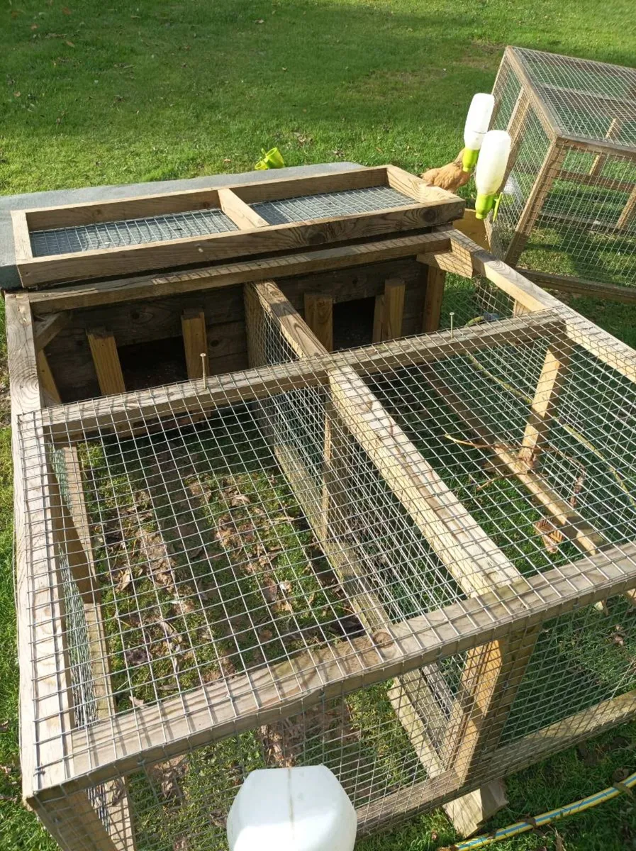Chicken coops - Image 3