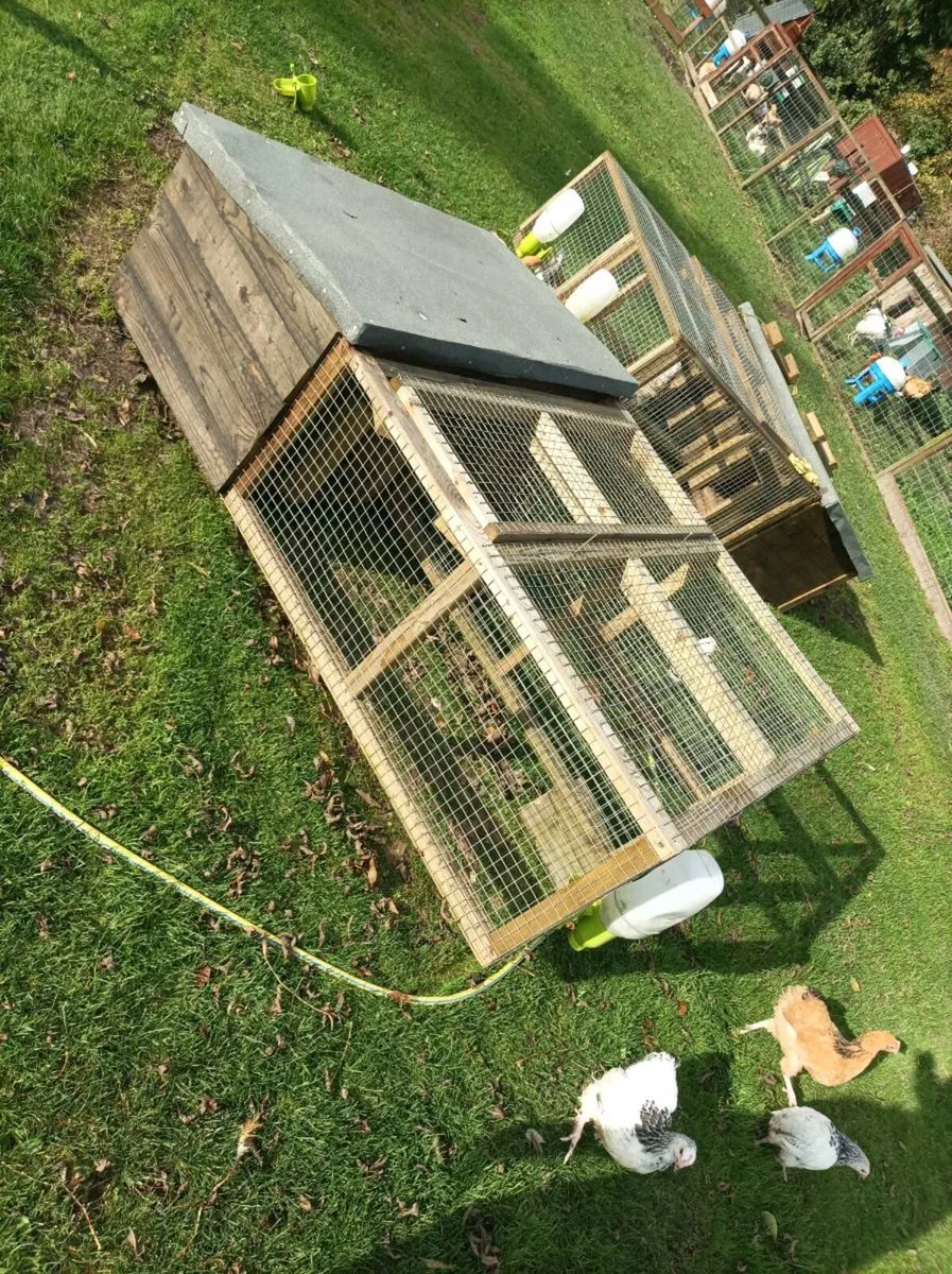 Chicken coops - Image 4
